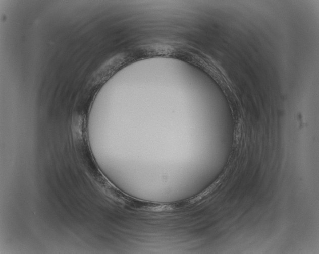 X0000087700122200705040901