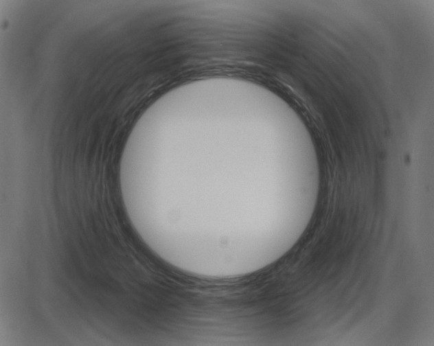 X0000087700125200705040901