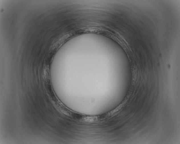 X0000087700126200705040901