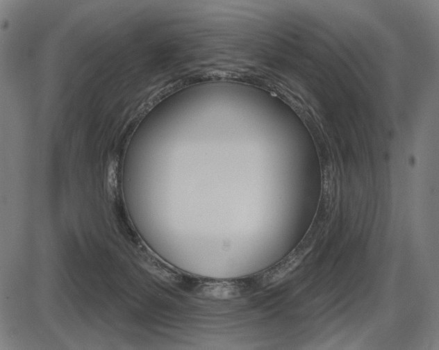 X0000087700127200705040901