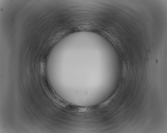 X0000087700130200705040901