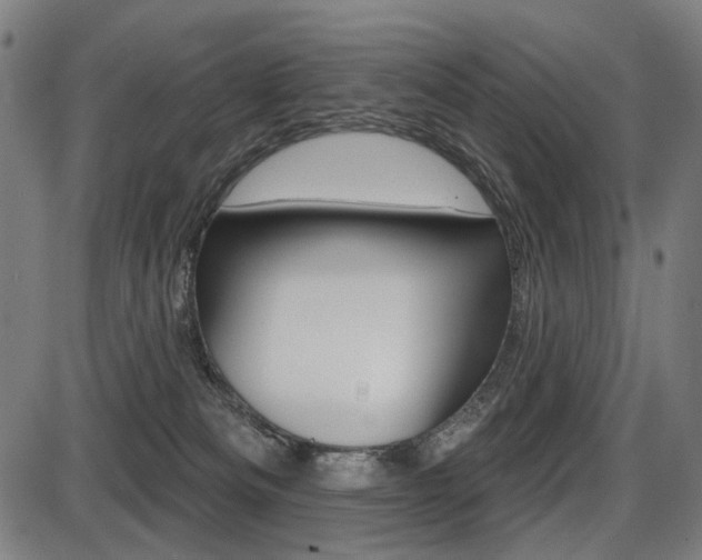 X0000087700133200705040901