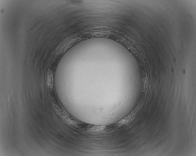 X0000087700138200705040900