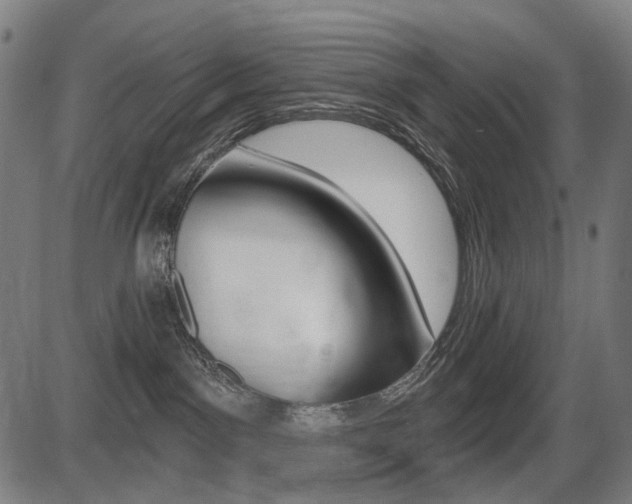 X0000087700141200705040900