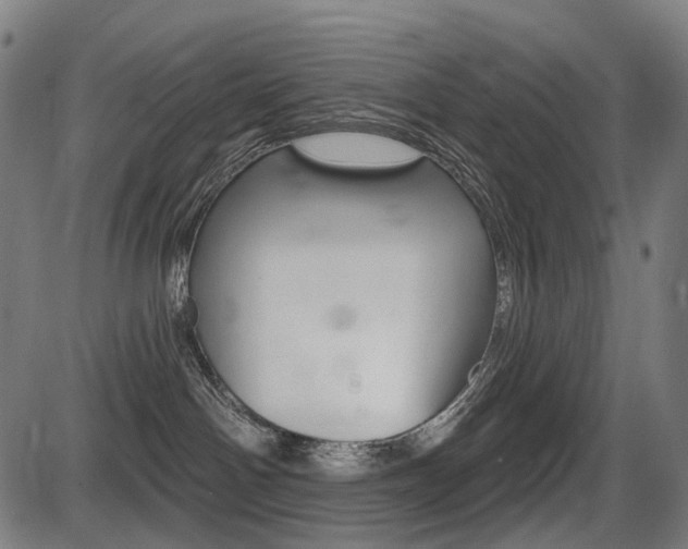 X0000087700142200705040900