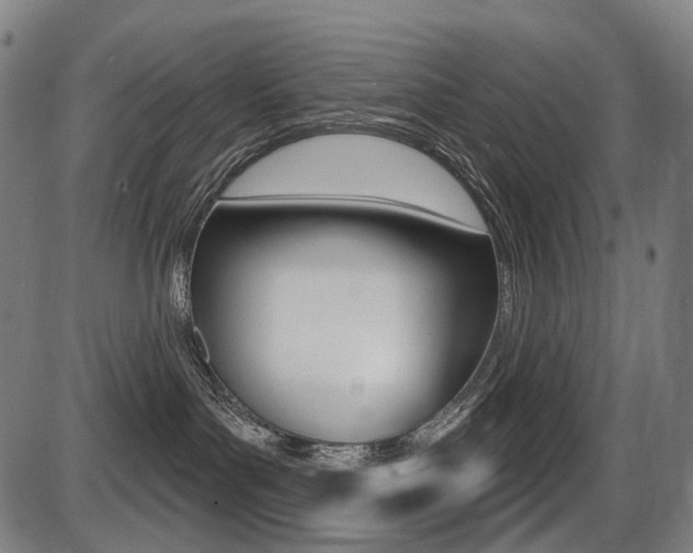 X0000087700143200705040900