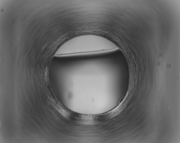 X0000087700144200705040900