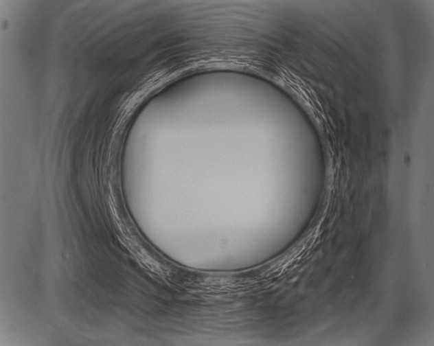 X0000087700145200705040900