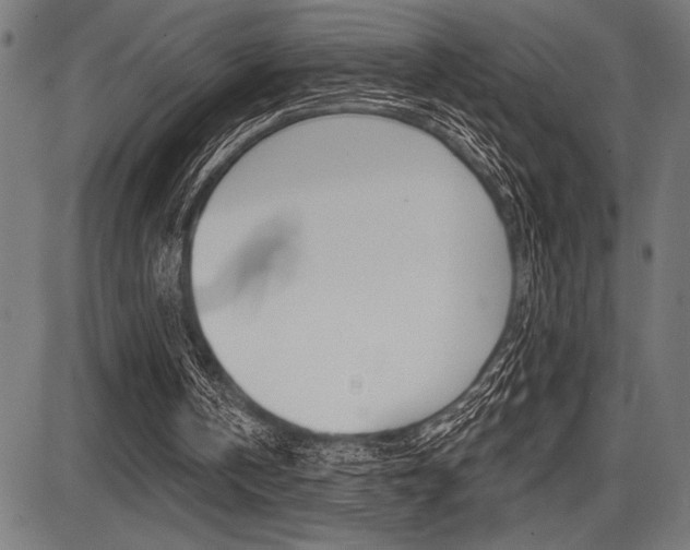 X0000087700146200705040900