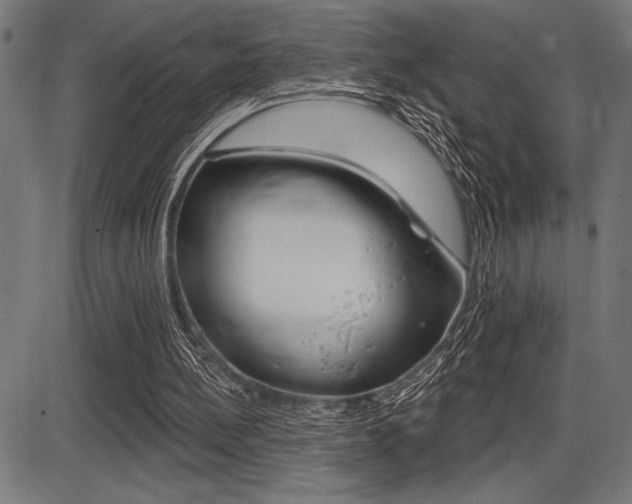 X0000087700148200705040900