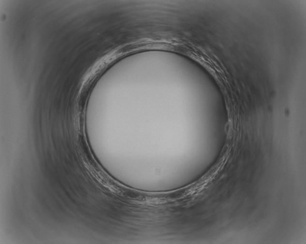 X0000087700149200705040900