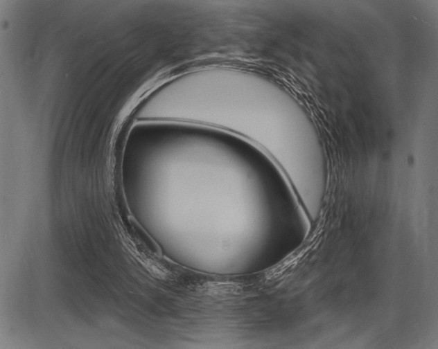 X0000087700150200705040900
