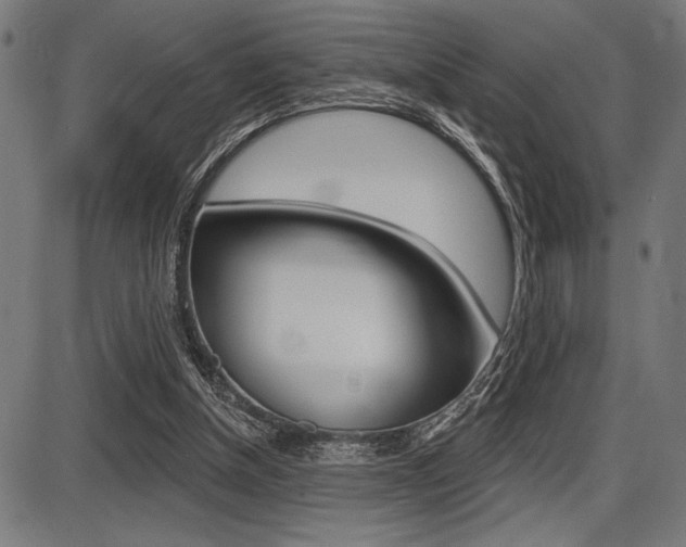 X0000087700154200705040900