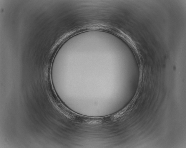 X0000087700155200705040900