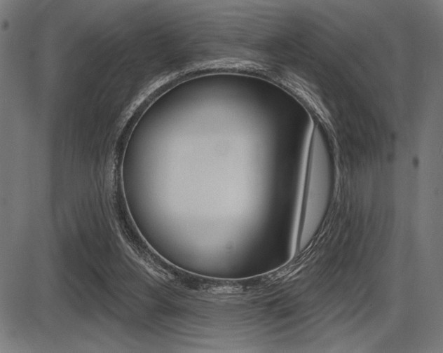 X0000087700156200705040900