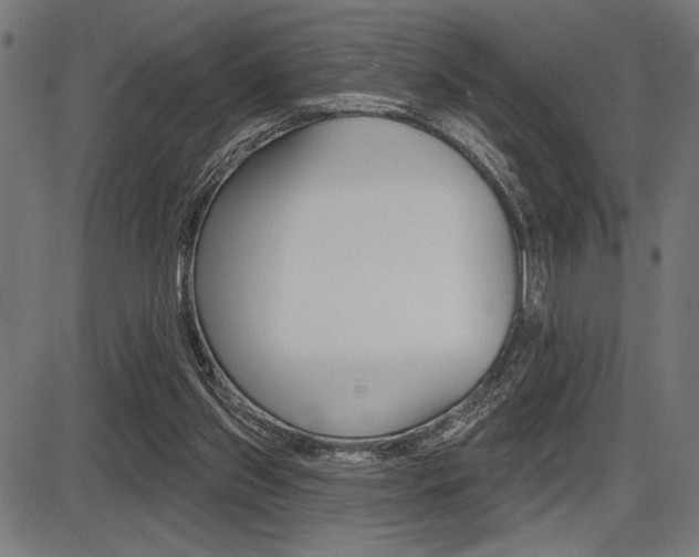 X0000087700157200705040900