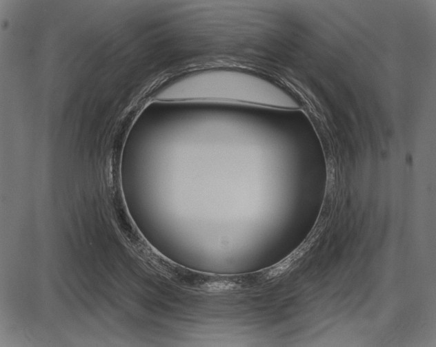 X0000087700158200705040900