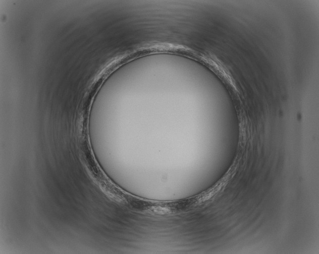 X0000087700159200705040900