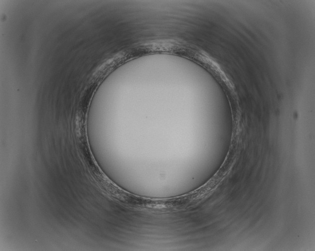 X0000087700161200705040900