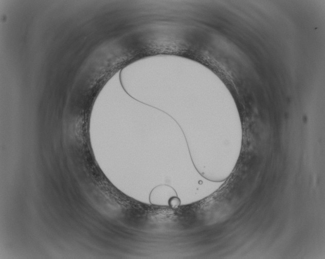 X0000087700162200705040900