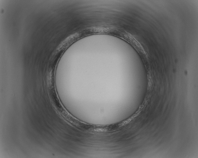 X0000087700163200705040900