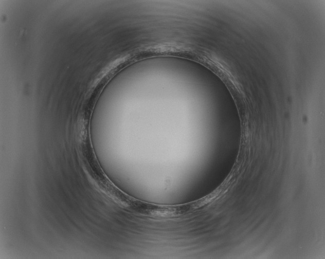 X0000087700164200705040900
