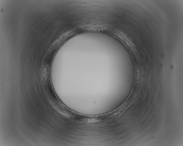 X0000087700165200705040900