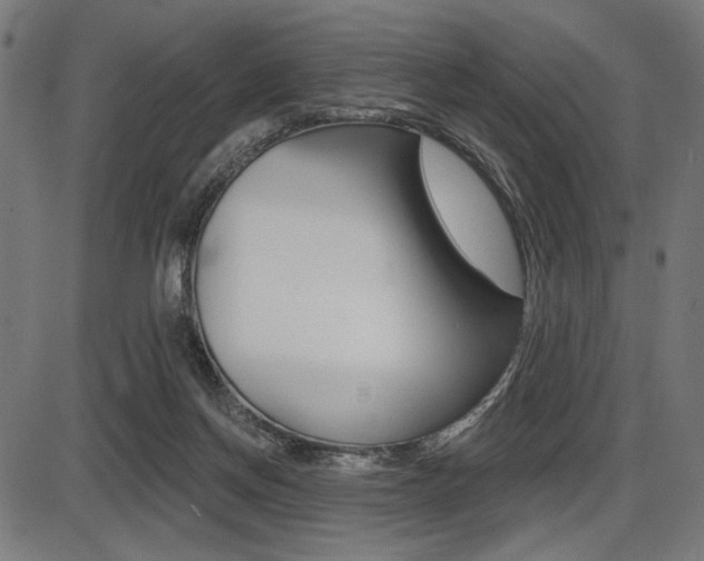 X0000087700166200705040900