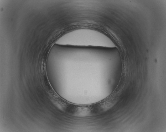 X0000087700169200705040900