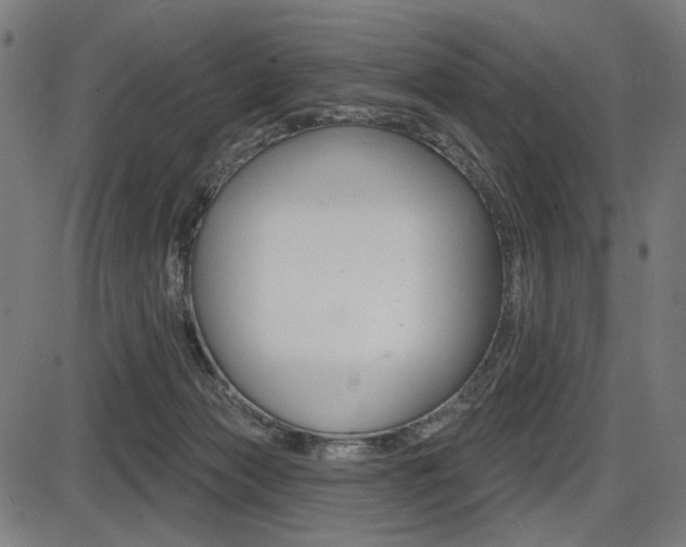 X0000087700173200705040900