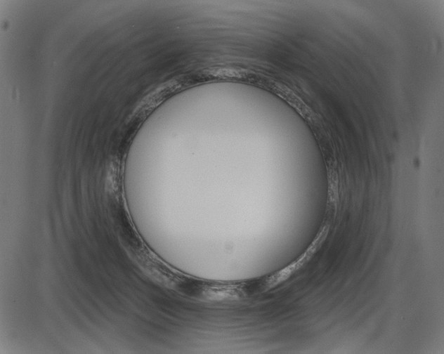 X0000087700175200705040900