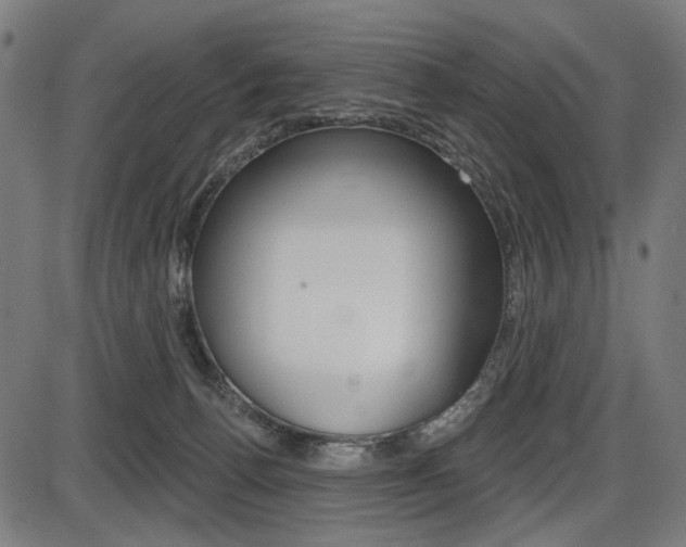 X0000087700176200705040900