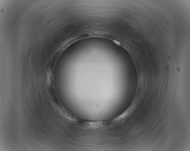X0000087700188200705040900