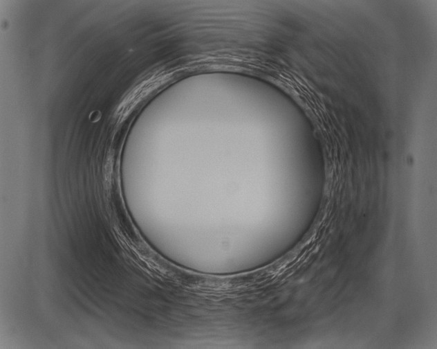 X0000087700194200705040900