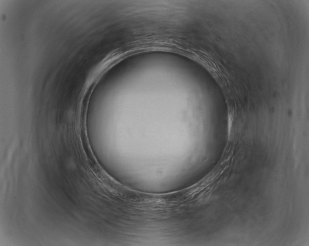 X0000087700195200705040900