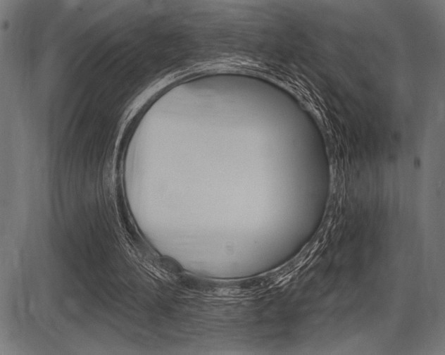 X0000087700196200705040900