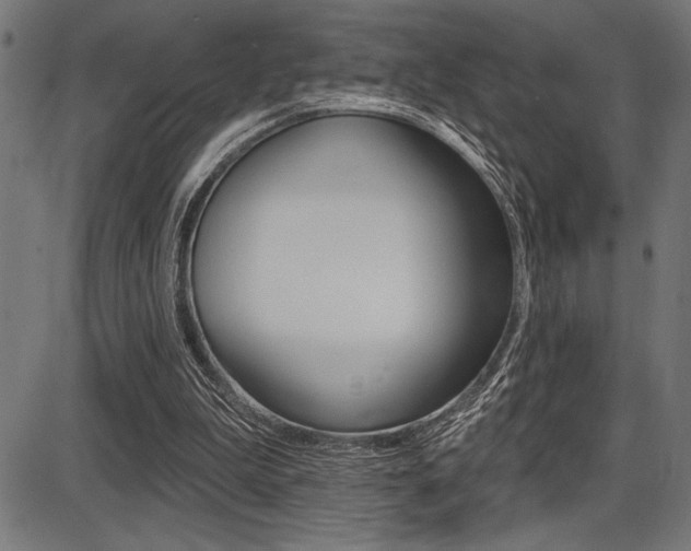 X0000087700199200705040859