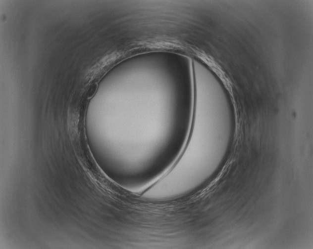 X0000087700201200705040859