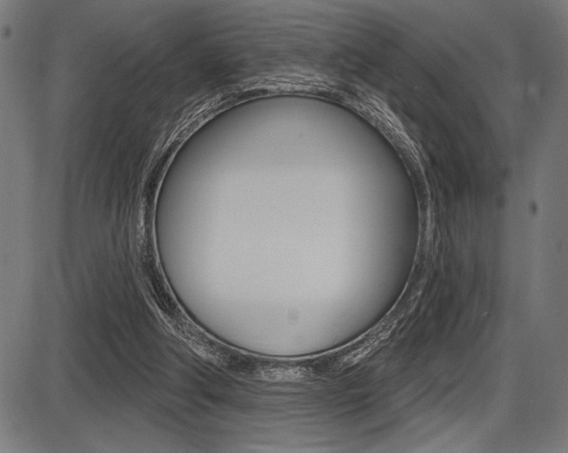 X0000087700202200705040859