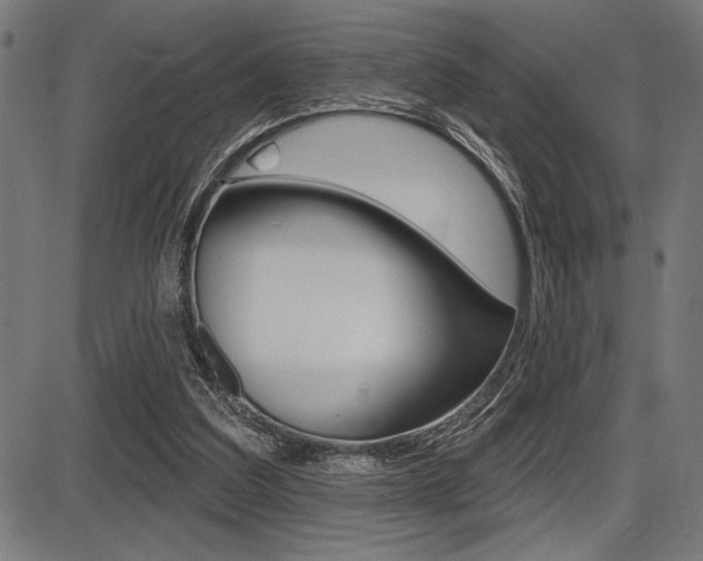 X0000087700203200705040859