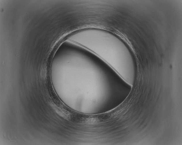 X0000087700204200705040859