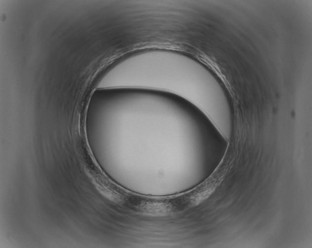 X0000087700205200705040859