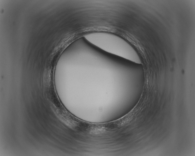 X0000087700206200705040859