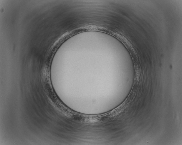 X0000087700208200705040859