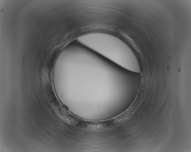 X0000087700213200705040859