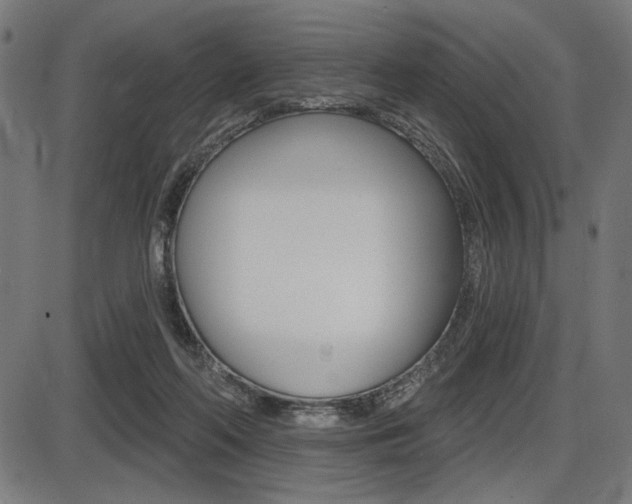 X0000087700214200705040859