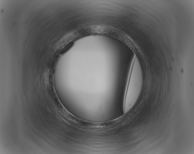 X0000087700217200705040859