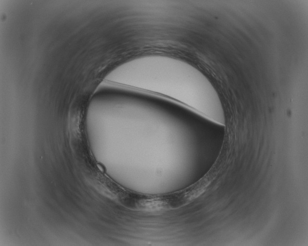 X0000087700219200705040859