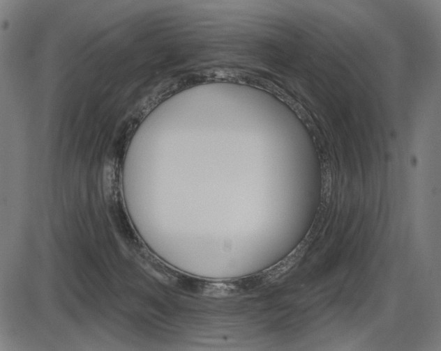 X0000087700222200705040859
