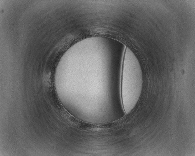 X0000087700224200705040859